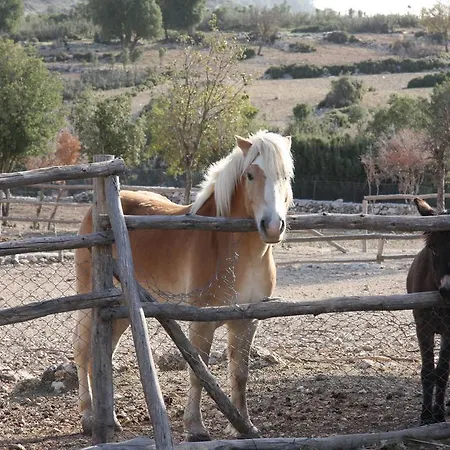 Летний дом Blacktree Farm And Cottages *