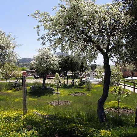 Летний дом Blacktree Farm And Cottages Фетхие