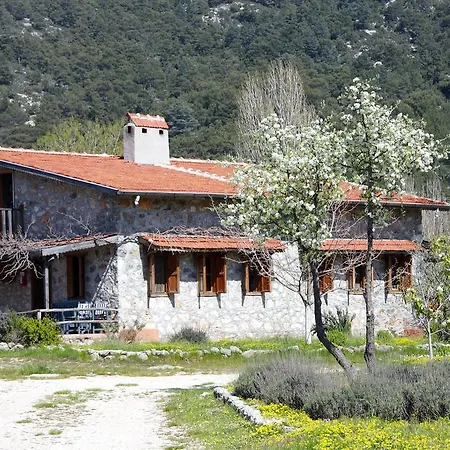 Летний дом Blacktree Farm And Cottages Фетхие