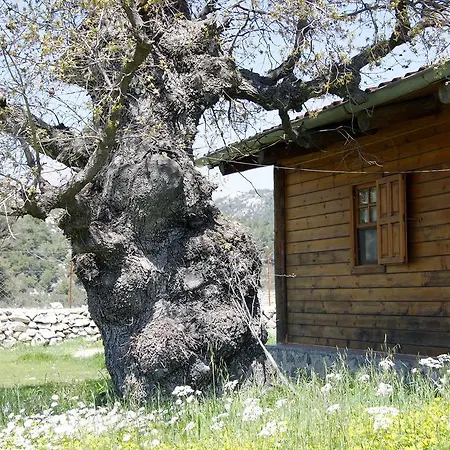 Летний дом Blacktree Farm And Cottages *