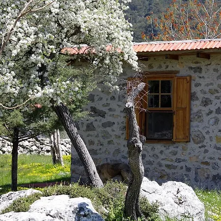 Blacktree Farm And Cottages Фетхие