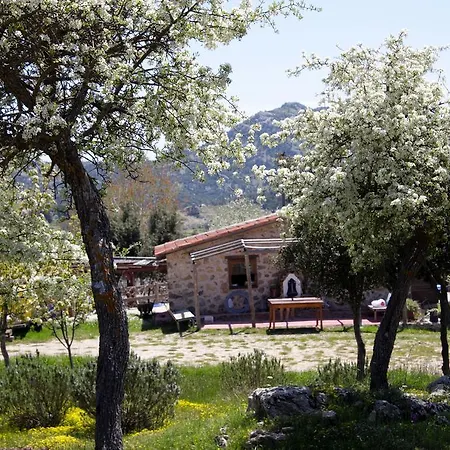 Летний дом Blacktree Farm And Cottages Фетхие